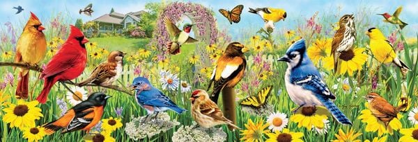 Produktbild: Backyard Birds Panoramic 1000pc