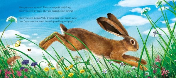 Produktbild: I am Hattie the Hare