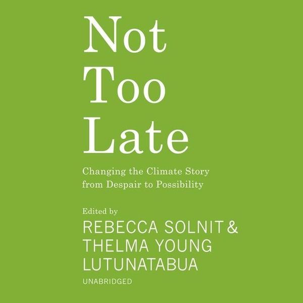 Produktbild: Not Too Late