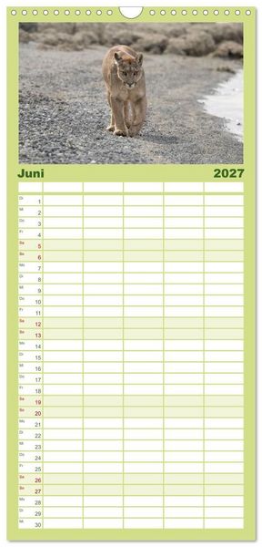 Produktbild: Familienplaner 2027 - Wildlife S&uuml;damerika mit 5 Spalten (Wandkalender, 21 x 45 cm) CALVENDO