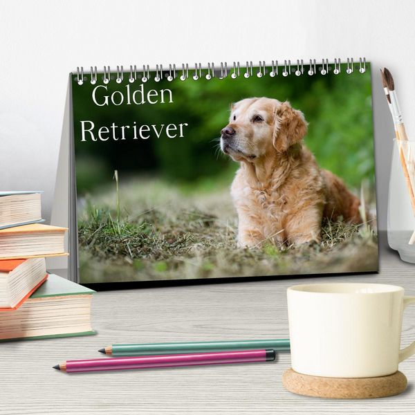 Produktbild: Golden Retriever (Tischkalender 2026 DIN A5 quer), CALVENDO Monatskalender