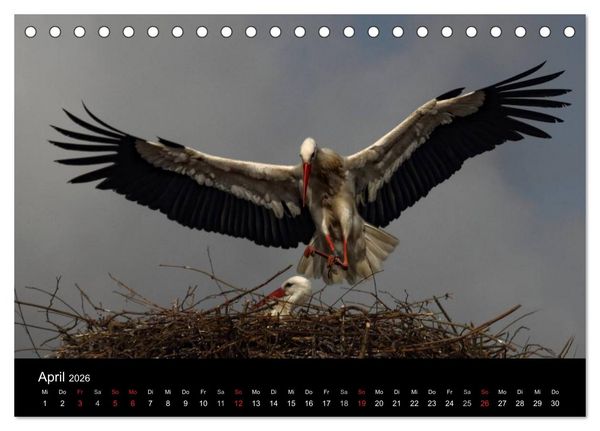 Produktbild: St. Peter-Ording (Tischkalender 2026 DIN A5 quer), CALVENDO Monatskalender