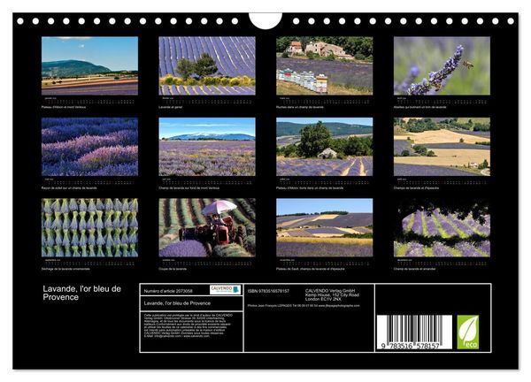 Produktbild: Lavande, l'or bleu de Provence (Calendrier mural 2026 DIN A4 vertical), CALVENDO calendrier mensuel
