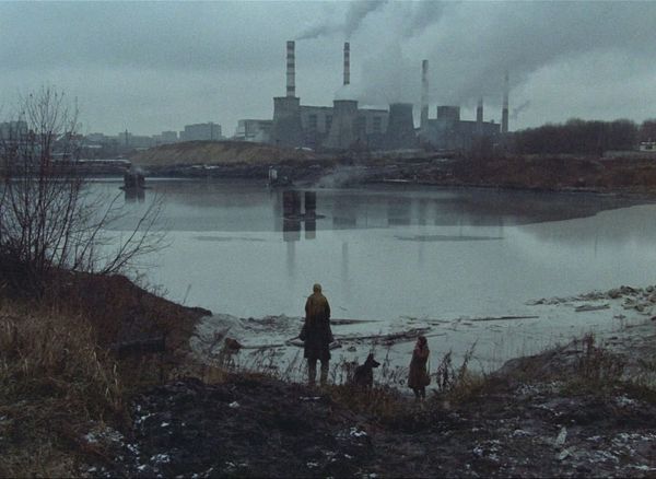 Produktbild: Stalker &ndash; Special Restored Edition (Filmjuwelen / DEFA Science Fiction)
