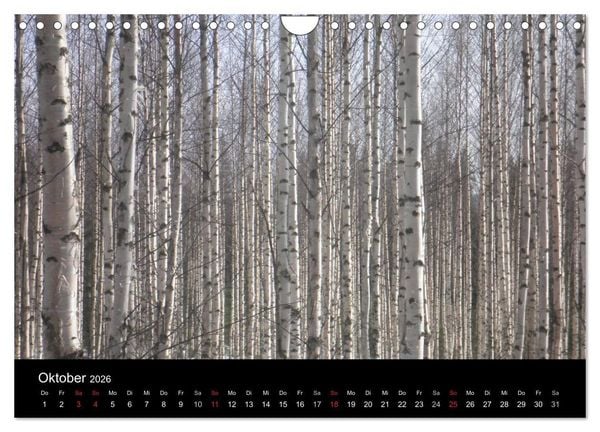 Produktbild: Wundersch&ouml;nes Finnland (Wandkalender 2026 DIN A4 quer), CALVENDO Monatskalender