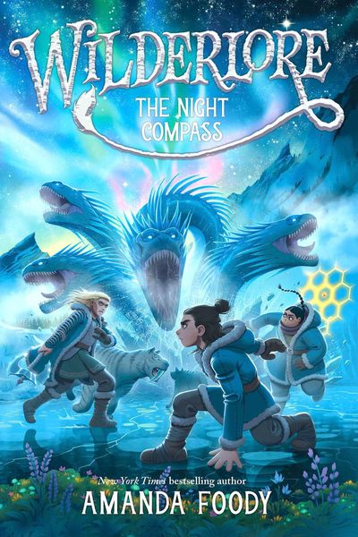 Produktbild: The Night Compass
