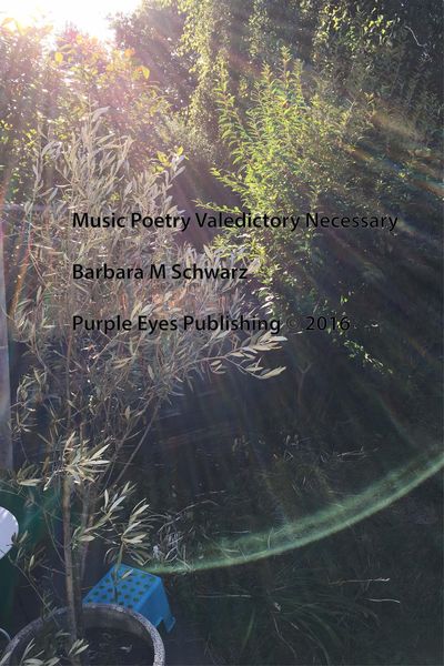 Produktbild: Music Poetry Valedictory Necessary