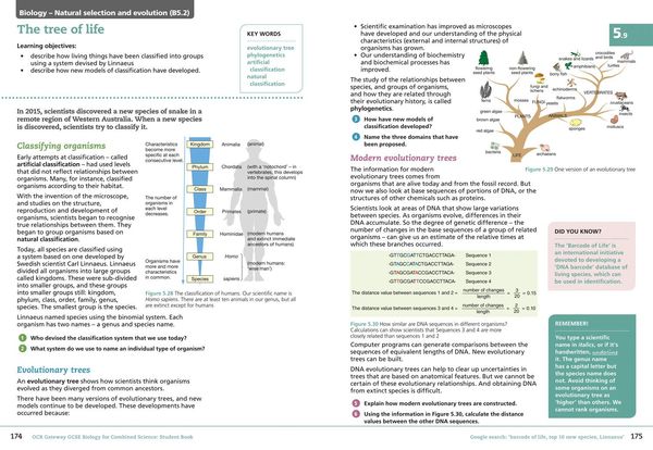 Produktbild: Collins GCSE Science - OCR Gateway GCSE (9-1) Biology for Combined Science