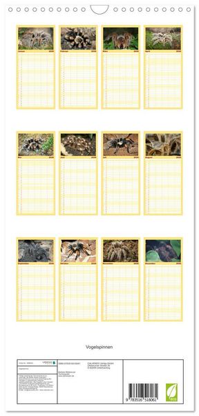 Produktbild: Familienplaner 2026 - Vogelspinnen mit 5 Spalten (Wandkalender, 21 x 45 cm) CALVENDO