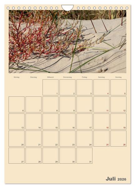 Produktbild: Usedom Ostsee - Terminplaner (Wandkalender 2026 DIN A4 hoch), CALVENDO Monatskalender