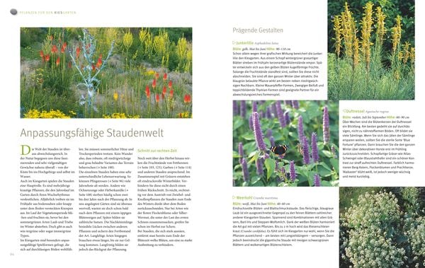Produktbild: Bl&uuml;tenpracht ohne Gie&szlig;en