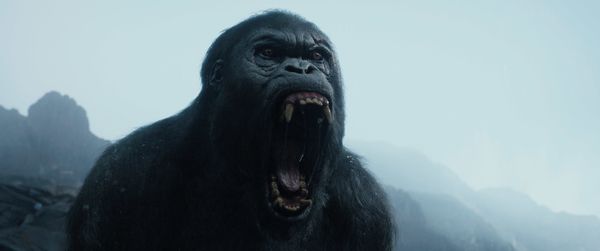 The Legend of Tarzan 3D Blu-ray