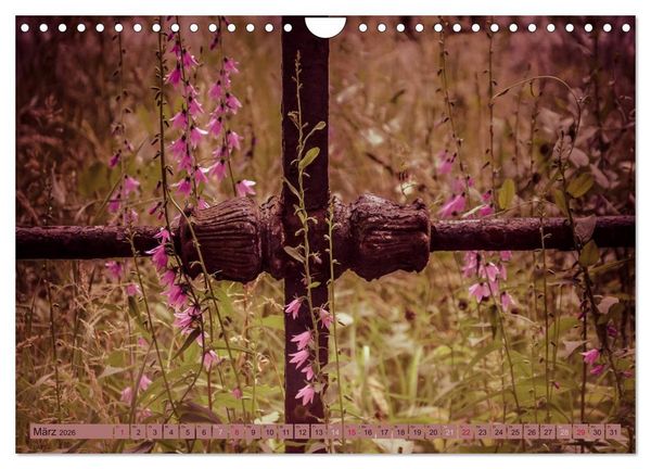 Produktbild: Wildwuchs 2026 (Wandkalender 2026 DIN A4 quer), CALVENDO Monatskalender