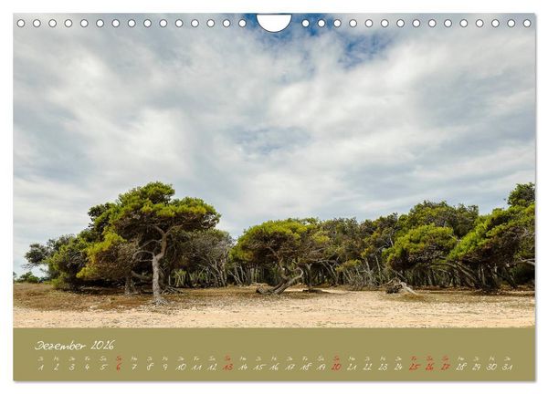 Produktbild: Wundersch&ouml;nes Istrien (Wandkalender 2026 DIN A4 quer), CALVENDO Monatskalender