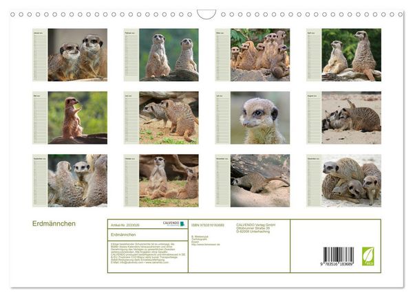 Produktbild: Erdm&auml;nnchen (Wandkalender 2026 DIN A3 quer), CALVENDO Monatskalender