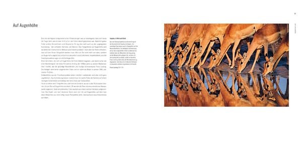 Produktbild: 60 Jahre Wildlife Fotografien des Jahres
