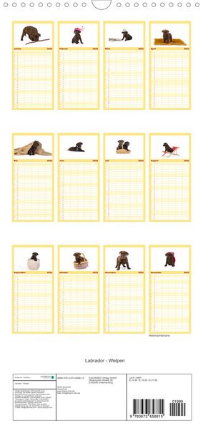 Produktbild: Familienplaner Labrador - Welpen (Wandkalender 2022 , 21 cm x 45 cm, hoch)