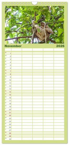 Produktbild: Familienplaner 2026 - Costa Rica - Tierwelt und Landschaften mit 5 Spalten (Wandkalender, 21 x 45 cm) CALVENDO