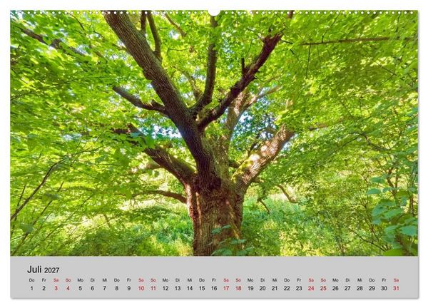 Produktbild: Biosph&auml;renreservat Schaalsee (hochwertiger Premium Wandkalender 2027 DIN A2 quer), Kunstdruck in Hochglanz
