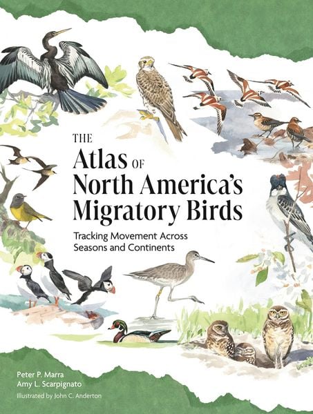 Produktbild: The Atlas of North America's Migratory Birds
