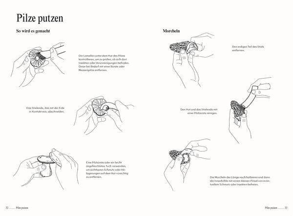 Produktbild: Pilze. Das Kochbuch