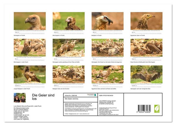 Produktbild: Die Geier sind los (Wandkalender 2026 DIN A3 quer), CALVENDO Monatskalender