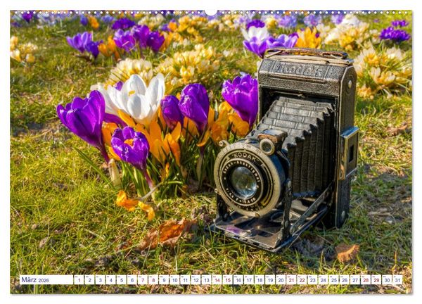 Produktbild: Alte Fotoapparate, Augenzeugen der Zeit (hochwertiger Premium Wandkalender 2026 DIN A2 quer), Kunstdruck in Hochglanz