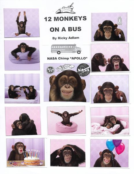 Produktbild: Twelve Monkeys on a Bus