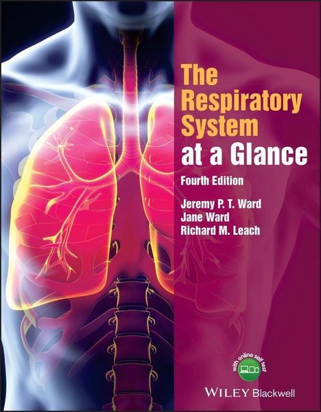 Produktbild: The Respiratory System at a Glance