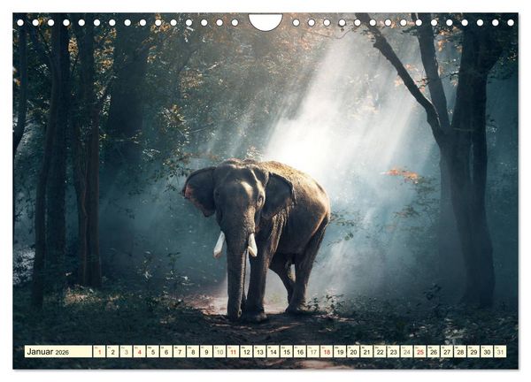 Produktbild: Magisches Asien. Menschen und Natur (Wandkalender 2026 DIN A4 quer), CALVENDO Monatskalender