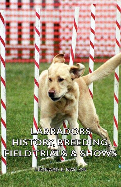 Produktbild: Labradors - History, Breeding, Field Trials & Shows
