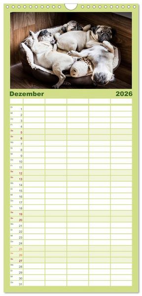 Produktbild: Familienplaner 2026 - Mopswelpen mit 5 Spalten (Wandkalender, 21 x 45 cm) CALVENDO