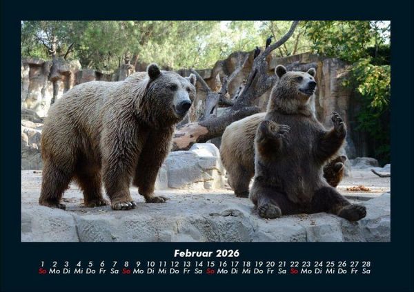 Produktbild: Der Tierkalender 2026 Fotokalender DIN A4