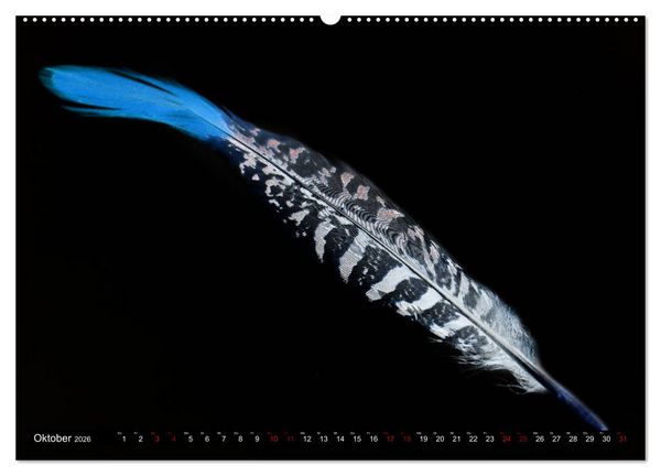 Produktbild: Federleichte Momente (Wandkalender 2026 DIN A2 quer), CALVENDO Monatskalender
