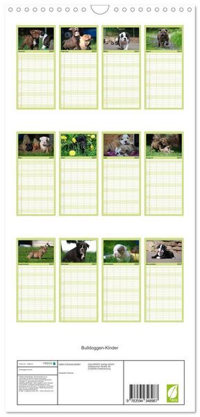 Produktbild: Familienplaner 2027 - Bulldoggen-Kinder mit 5 Spalten (Wandkalender, 21 x 45 cm) CALVENDO