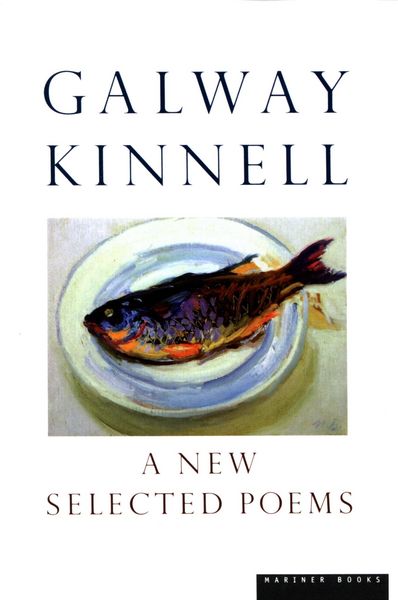 Produktbild: New Selected Poems