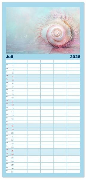 Produktbild: Familienplaner 2026 - Sandgefl&uuml;ster und Muschelzauber mit 5 Spalten (Wandkalender, 21 x 45 cm) CALVENDO
