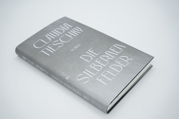 Produktbild: Die silbernen Felder