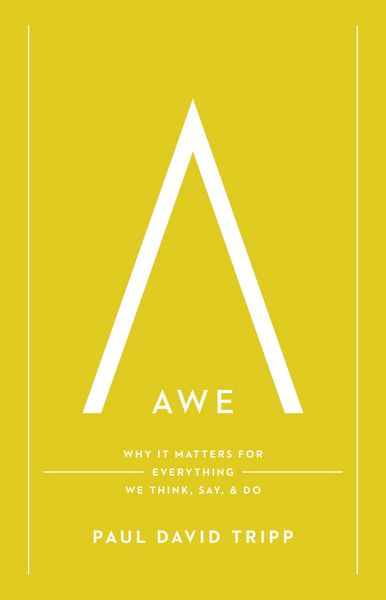 Produktbild: Awe (with Study Questions)