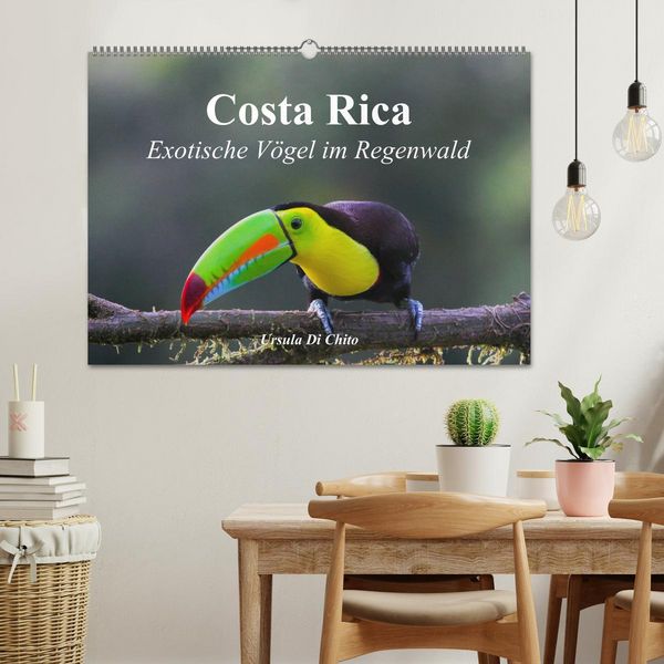 Produktbild: Costa Rica - Exotische V&ouml;gel im Regenwald (Wandkalender 2026 DIN A2 quer), CALVENDO Monatskalender