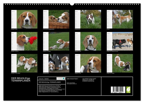 Produktbild: DER BEAGLEige TERMINPLANER (hochwertiger Premium Wandkalender 2026 DIN A2 quer), Kunstdruck in Hochglanz