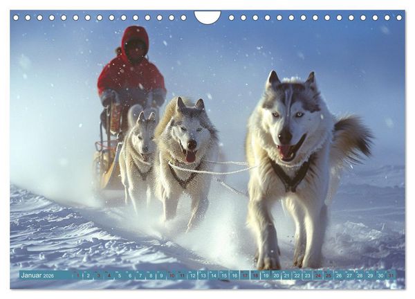 Produktbild: Schlittenhund Tr&auml;ume (Wandkalender 2026 DIN A4 quer), CALVENDO Monatskalender