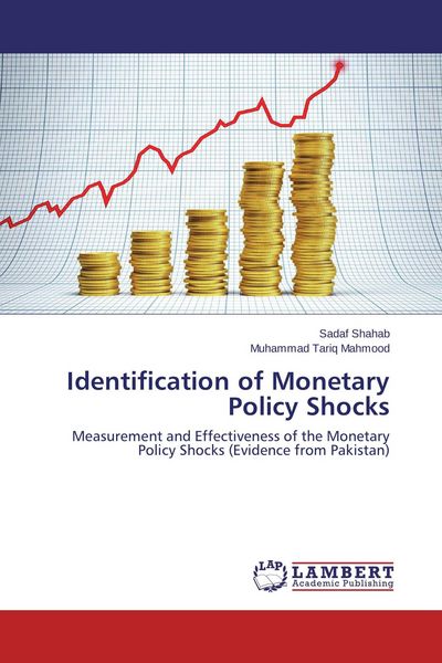 Produktbild: Identification of Monetary Policy Shocks