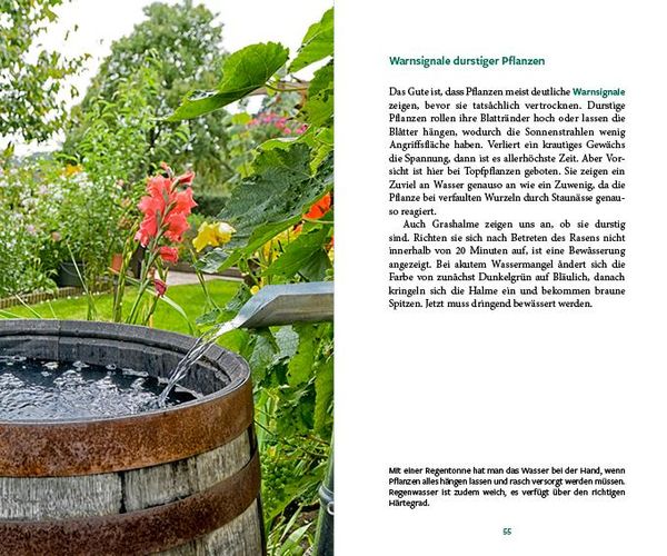 Produktbild: G&auml;rtnern im Wandel