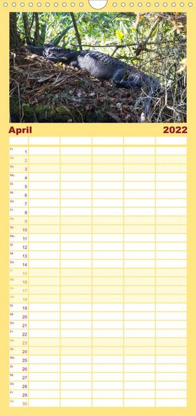 Produktbild: Familienplaner Florida - Sonne, Str&auml;nde und Naturparks (Wandkalender 2022 , 21 cm x 45 cm, hoch)