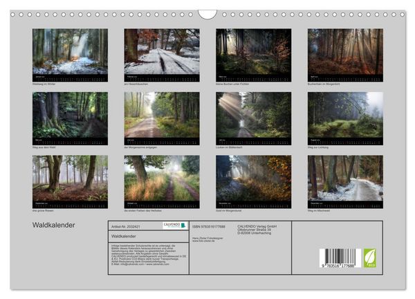 Produktbild: Waldkalender (Wandkalender 2026 DIN A3 quer), CALVENDO Monatskalender
