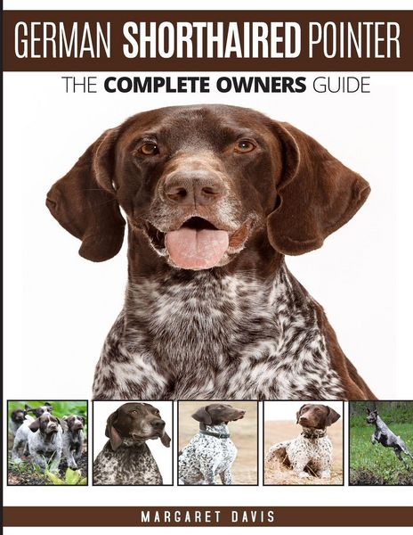 Produktbild: German Shorthaired Pointer