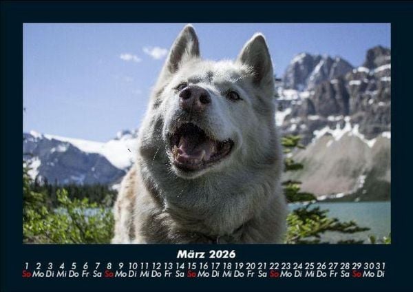 Produktbild: Hundezauber 2026 Fotokalender DIN A5