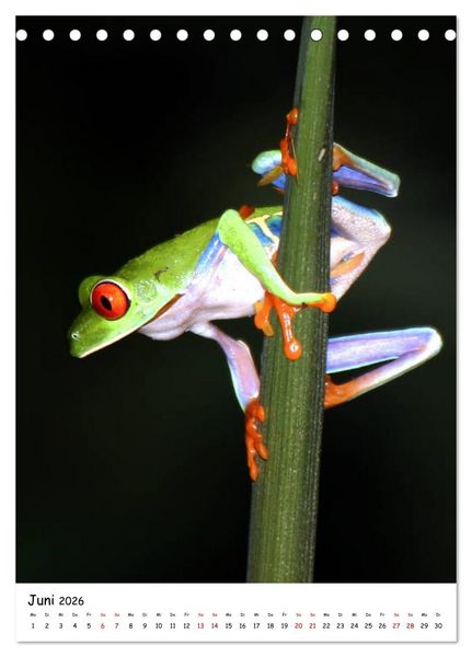 Produktbild: Costa Rica - Fauna & Flora (Tischkalender 2026 DIN A5 hoch), CALVENDO Monatskalender