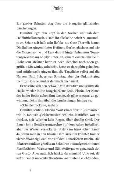 Produktbild: Fr&auml;nkisches Chili